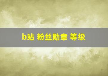 b站 粉丝勋章 等级